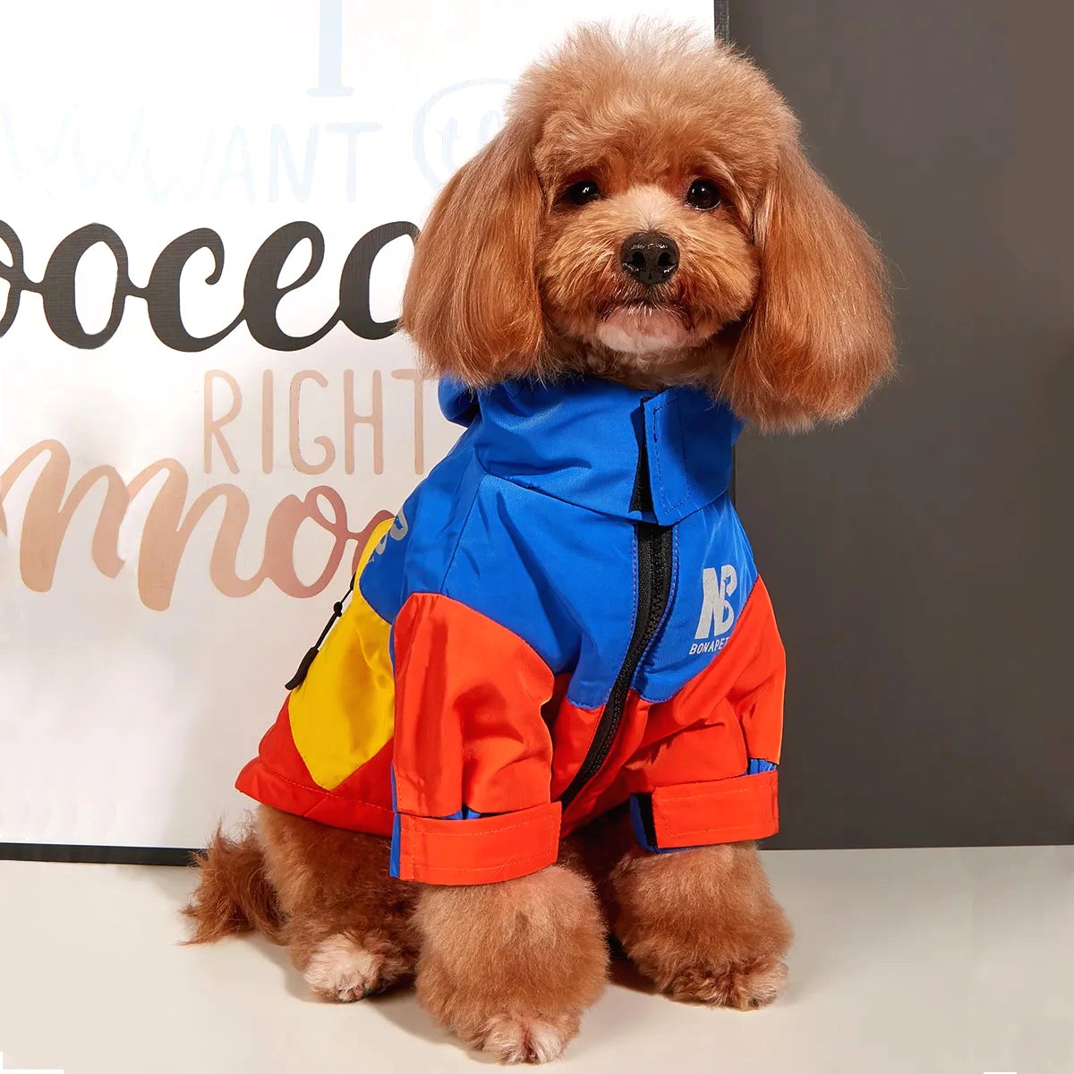 waterproof dog coat